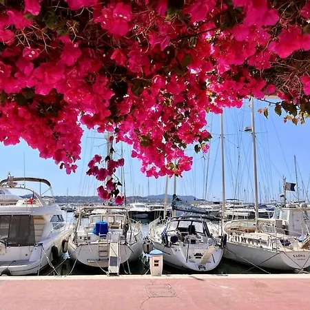 L'escale Detente Bandol
